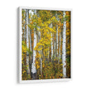 Woods Amarillo V - David Drost | Cuadro decorativo de Canvas Lab