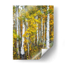 Woods Amarillo V - David Drost | Cuadro decorativo de Canvas Lab