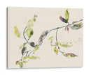 Rama De Hojas I - Jennifer Goldberger | Cuadro decorativo de Canvas Lab