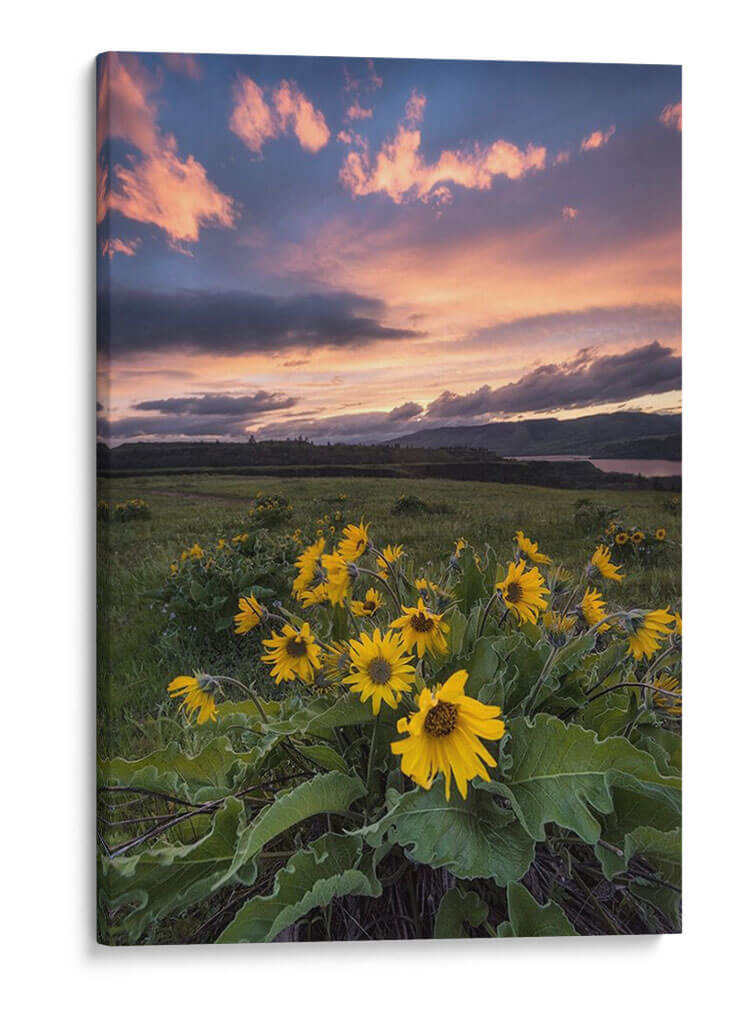 Puesta De Sol En La Garganta - Danny Head | Cuadro decorativo de Canvas Lab