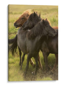 Tiempo De Juego - Danny Head | Cuadro decorativo de Canvas Lab