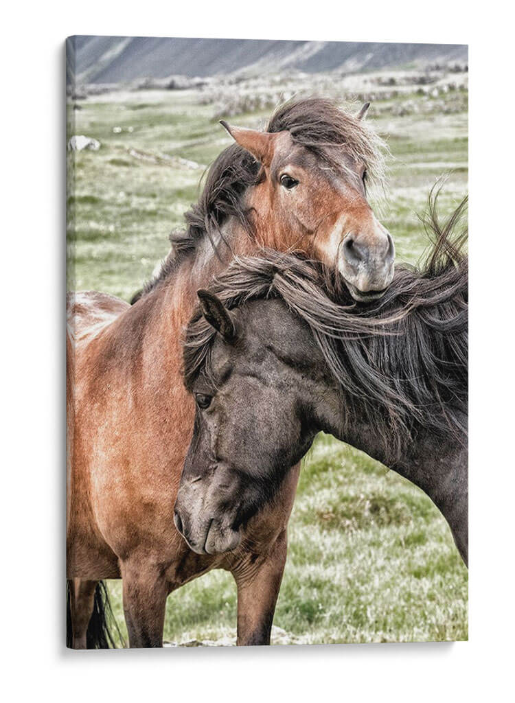 Mejores Amigos - Danny Head | Cuadro decorativo de Canvas Lab
