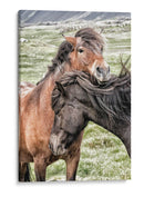 Mejores Amigos - Danny Head | Cuadro decorativo de Canvas Lab