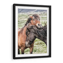 Mejores Amigos - Danny Head | Cuadro decorativo de Canvas Lab