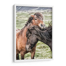 Mejores Amigos - Danny Head | Cuadro decorativo de Canvas Lab