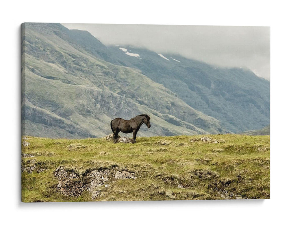 Estando Solo - Danny Head | Cuadro decorativo de Canvas Lab
