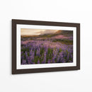 Campo De Lupinos - Danny Head | Cuadro decorativo de Canvas Lab