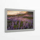 Campo De Lupinos - Danny Head | Cuadro decorativo de Canvas Lab
