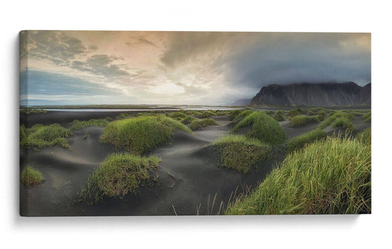 Panorama De Dunas Negras - Danny Head | Cuadro decorativo de Canvas Lab