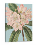 Florales Frescos Ii - Vision Studio | Cuadro decorativo de Canvas Lab