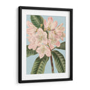 Florales Frescos Ii - Vision Studio | Cuadro decorativo de Canvas Lab