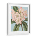 Florales Frescos Ii - Vision Studio | Cuadro decorativo de Canvas Lab