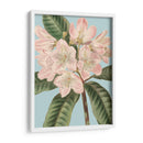 Florales Frescos Ii - Vision Studio | Cuadro decorativo de Canvas Lab