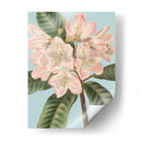 Florales Frescos Ii - Vision Studio | Cuadro decorativo de Canvas Lab