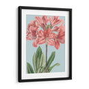 Florales Frescos Iii - Vision Studio | Cuadro decorativo de Canvas Lab