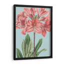 Florales Frescos Iii - Vision Studio | Cuadro decorativo de Canvas Lab