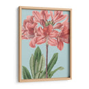 Florales Frescos Iii - Vision Studio | Cuadro decorativo de Canvas Lab