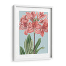 Florales Frescos Iii - Vision Studio | Cuadro decorativo de Canvas Lab