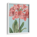 Florales Frescos Iii - Vision Studio | Cuadro decorativo de Canvas Lab