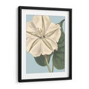 Florales Frescos Iv - Vision Studio | Cuadro decorativo de Canvas Lab