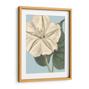 Florales Frescos Iv - Vision Studio | Cuadro decorativo de Canvas Lab