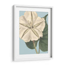 Florales Frescos Iv - Vision Studio | Cuadro decorativo de Canvas Lab