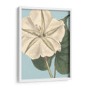 Florales Frescos Iv - Vision Studio | Cuadro decorativo de Canvas Lab