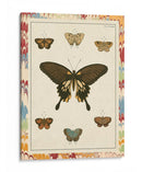 Mariposas De Mármol I - Vision Studio | Cuadro decorativo de Canvas Lab