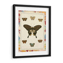 Mariposas De Mármol I - Vision Studio | Cuadro decorativo de Canvas Lab