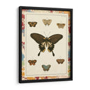 Mariposas De Mármol I - Vision Studio | Cuadro decorativo de Canvas Lab