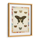 Mariposas De Mármol I - Vision Studio | Cuadro decorativo de Canvas Lab