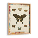 Mariposas De Mármol I - Vision Studio | Cuadro decorativo de Canvas Lab