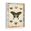 Mariposas De Mármol I - Vision Studio | Cuadro decorativo de Canvas Lab
