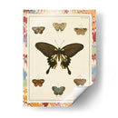 Mariposas De Mármol I - Vision Studio | Cuadro decorativo de Canvas Lab