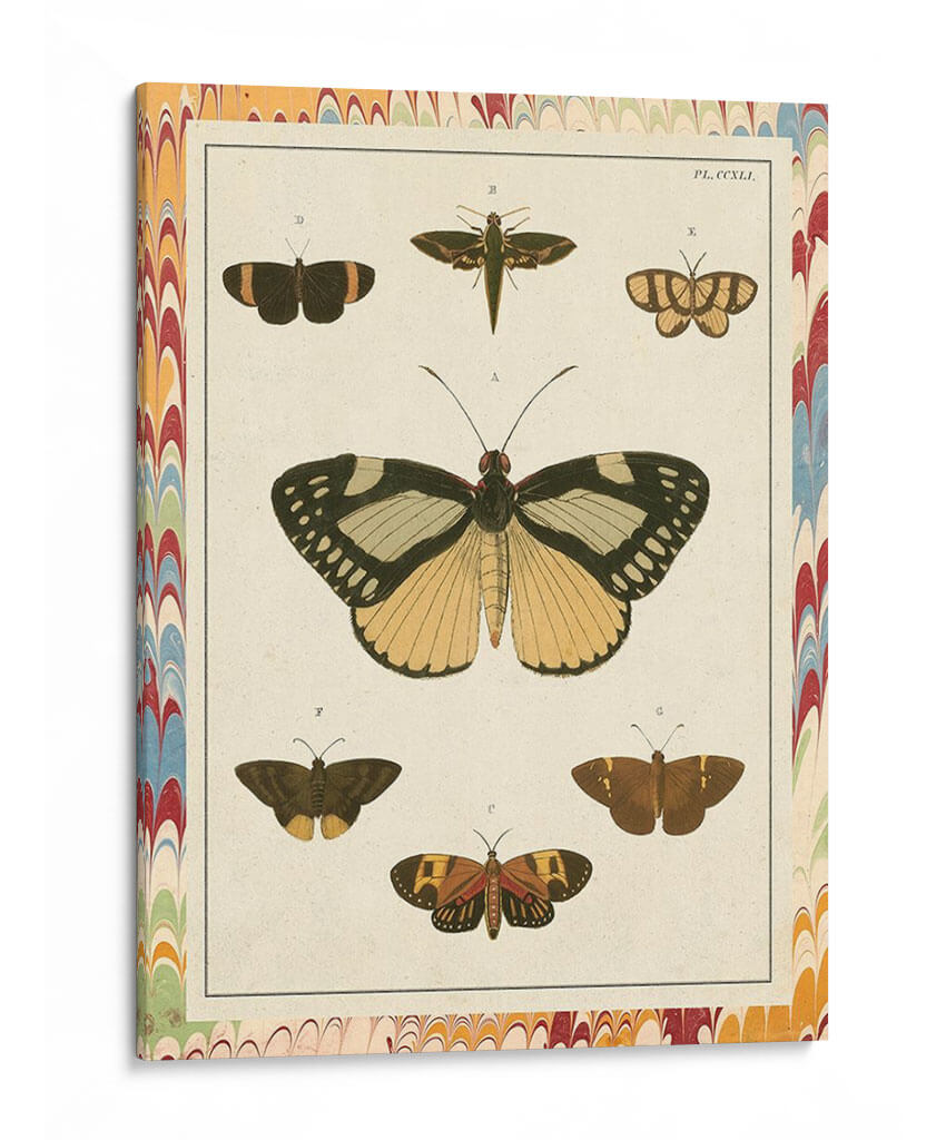 Mariposas De Mármol Ii - Vision Studio | Cuadro decorativo de Canvas Lab