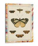 Mariposas De Mármol Ii - Vision Studio | Cuadro decorativo de Canvas Lab