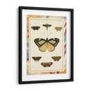 Mariposas De Mármol Ii - Vision Studio | Cuadro decorativo de Canvas Lab