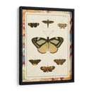 Mariposas De Mármol Ii - Vision Studio | Cuadro decorativo de Canvas Lab