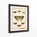 Mariposas De Mármol Ii - Vision Studio | Cuadro decorativo de Canvas Lab