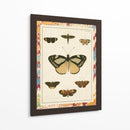 Mariposas De Mármol Ii - Vision Studio | Cuadro decorativo de Canvas Lab