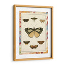 Mariposas De Mármol Ii - Vision Studio | Cuadro decorativo de Canvas Lab
