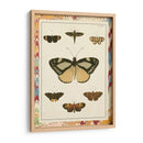 Mariposas De Mármol Ii - Vision Studio | Cuadro decorativo de Canvas Lab