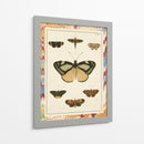 Mariposas De Mármol Ii - Vision Studio | Cuadro decorativo de Canvas Lab