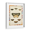 Mariposas De Mármol Ii - Vision Studio | Cuadro decorativo de Canvas Lab