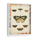 Mariposas De Mármol Ii - Vision Studio | Cuadro decorativo de Canvas Lab