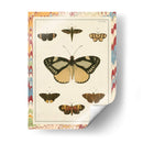 Mariposas De Mármol Ii - Vision Studio | Cuadro decorativo de Canvas Lab