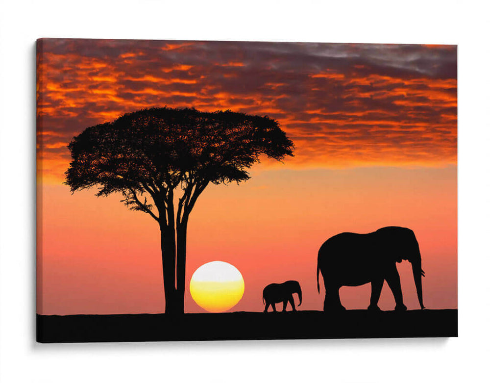 Ocaso en África | Cuadro decorativo de Canvas Lab