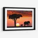 Ocaso en África | Cuadro decorativo de Canvas Lab
