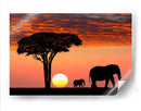 Ocaso en África | Cuadro decorativo de Canvas Lab