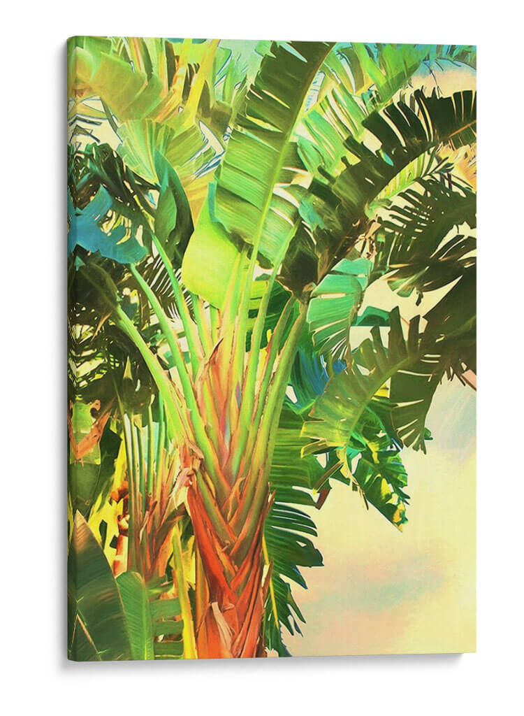 Pájaro De Paradise Palm I - Melinda Bradshaw | Cuadro decorativo de Canvas Lab